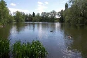 Chapmans Pond