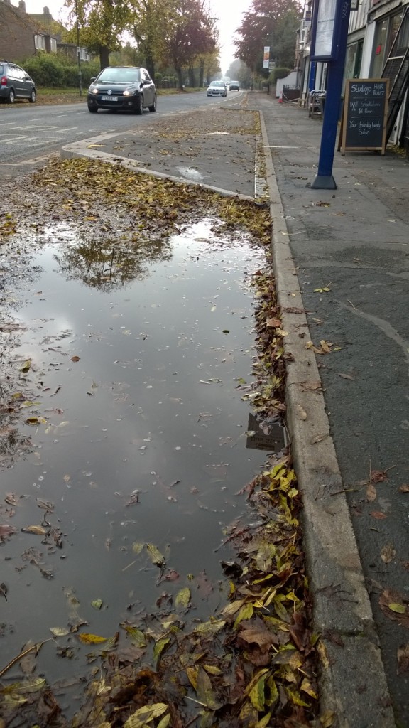 A 'lagoon' has formed by the bus stop outside the vets on Tadcaster Road, caused by leaves blocking the drainage channel