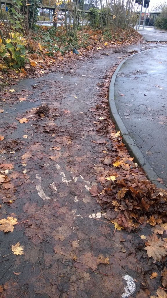 Cycle track in need of sweeping